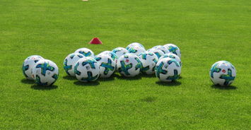 半岛体育官方-帕尔梅拉斯防线稳固，力拼恩菲尔德全力拿分